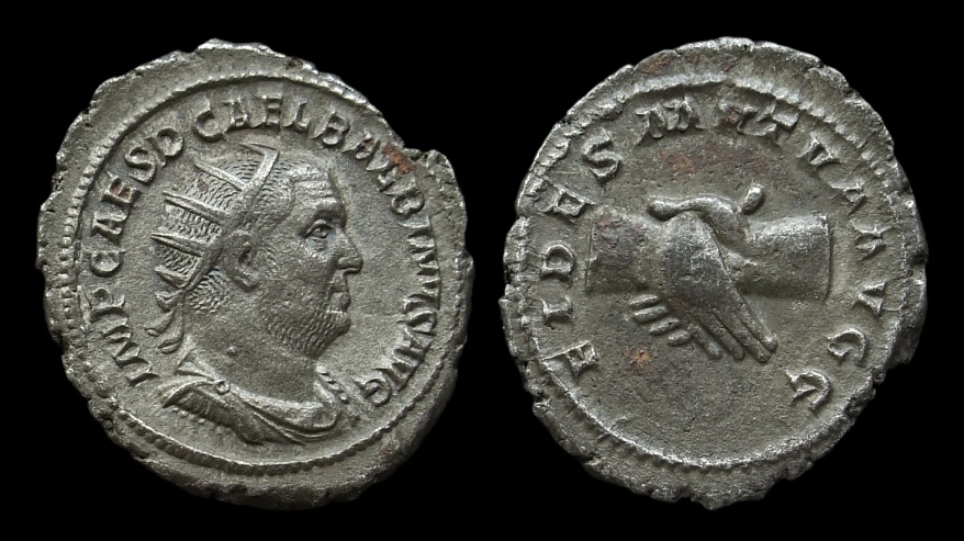 Lot - Balbinus2.jpg