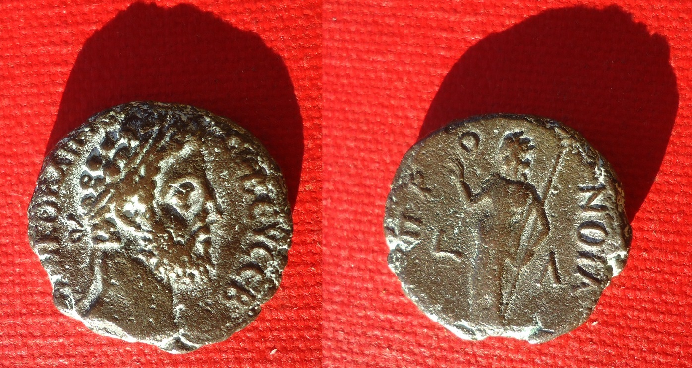 Lot - Commod tet PRONIA Nov 18.jpg