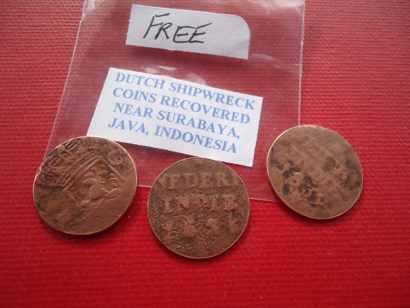 Lot - Free Dutch EI shipwreck Nov 2018 (2).JPG