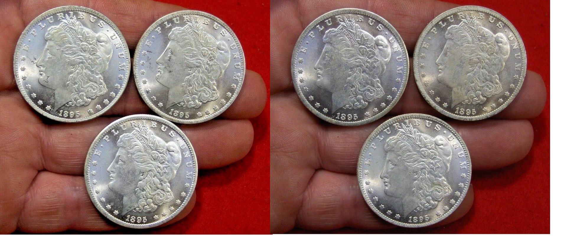 Lot of 3 - Bright White Two Face Head 1895 US Morgan Dollars  Trick Coins.jpg