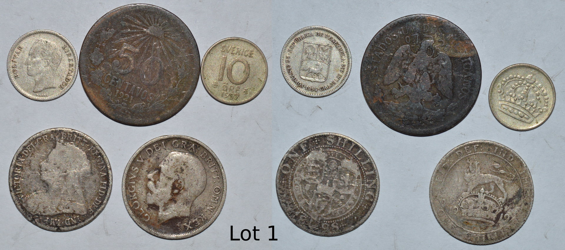 lot1.JPG