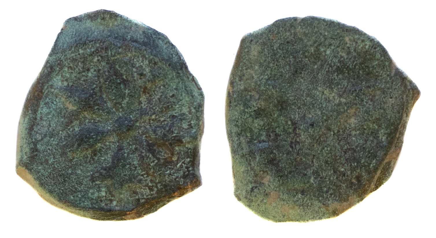 Lot2.jpg