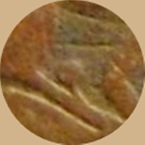 Lowest inside berry stem on the left.jpg