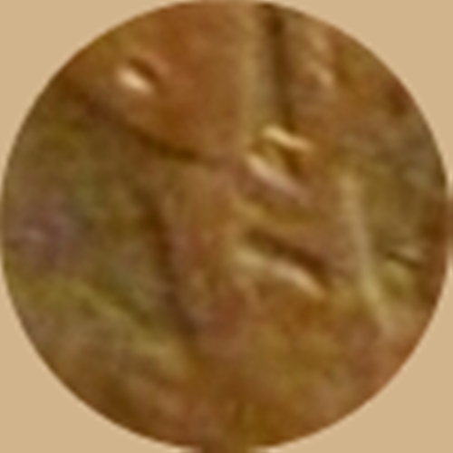 Lowest outside berry stem on the left.jpg