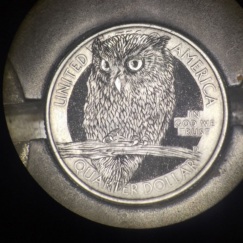 LT-owl-SHQ-04801-artistpic.png