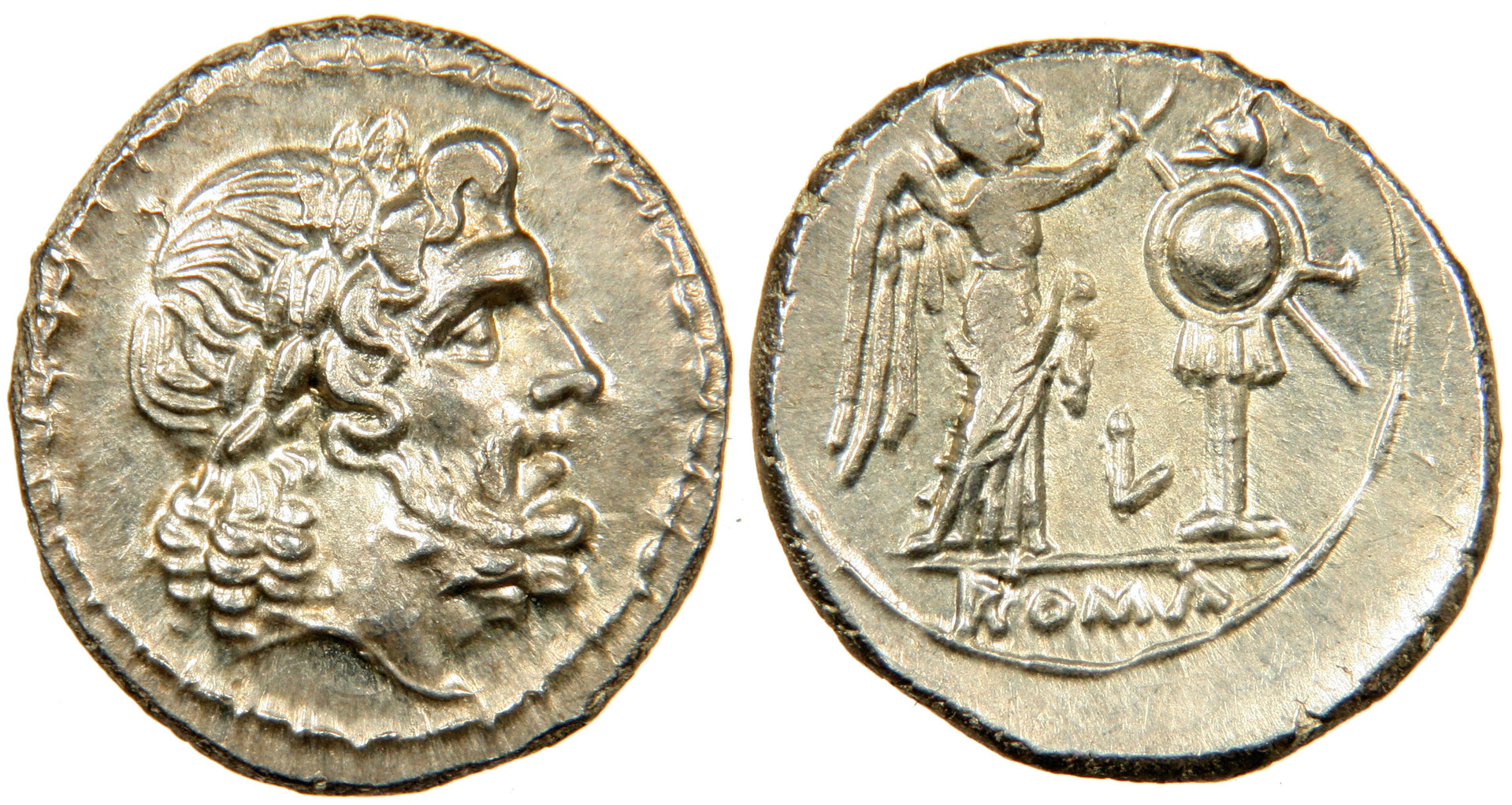 LT Victoriatus Combined.jpg