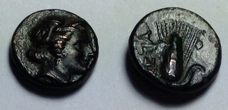 Lucania 3ed or 4th BC Persephone, Barley Ear Metapontum.jpg