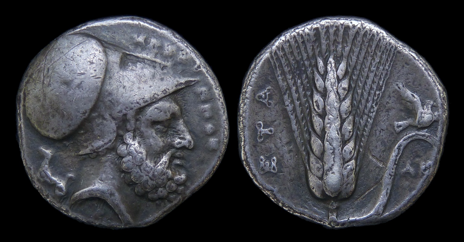 LUCANIA Metapontion - AR Didrachm ex Pozzi 3638.jpg