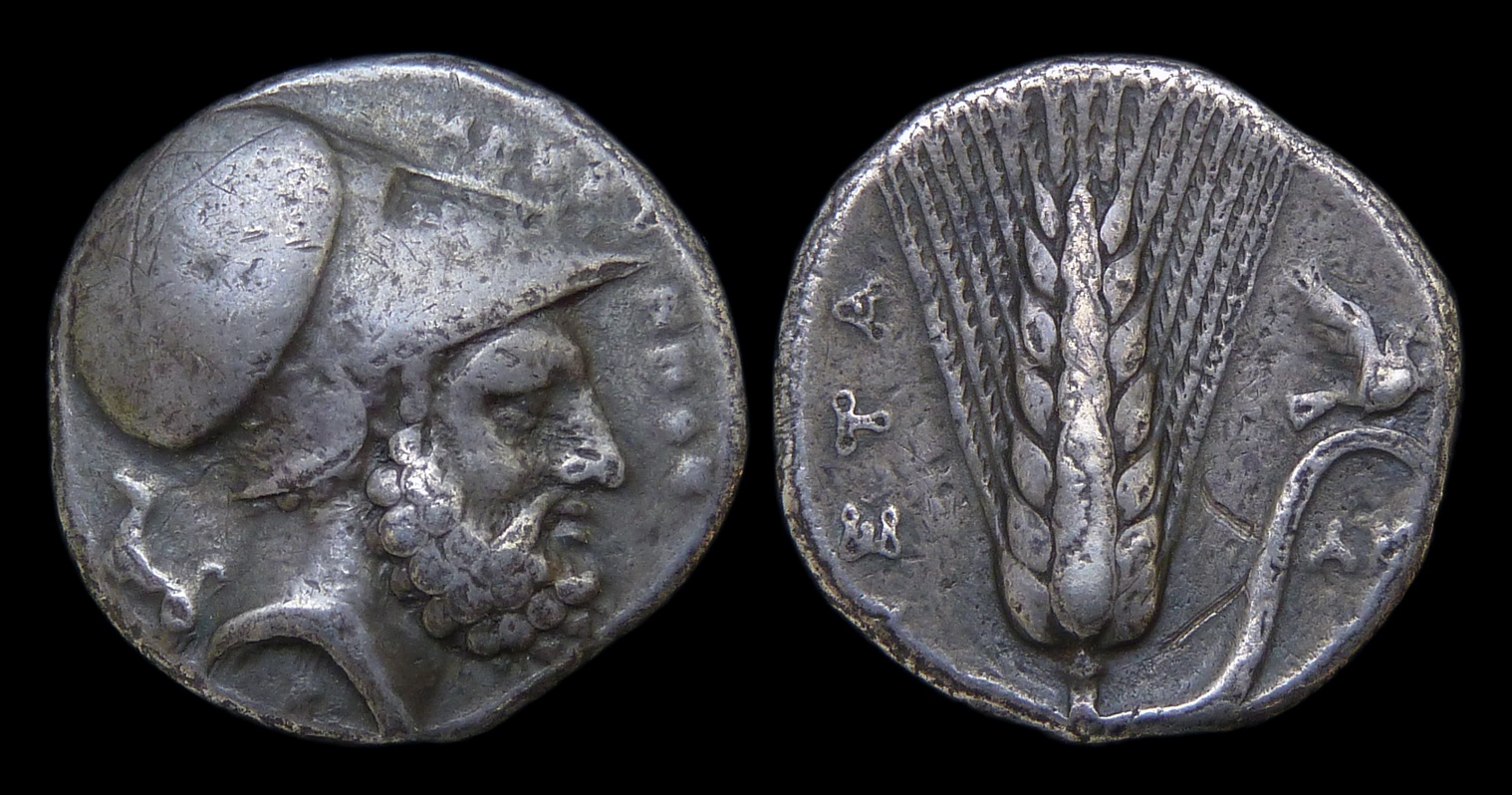 LUCANIA Metapontion - AR Didrachm ex Pozzi new 3638.jpg