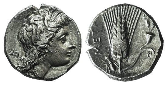 Lucania, Metapontion AR Stater.jpg