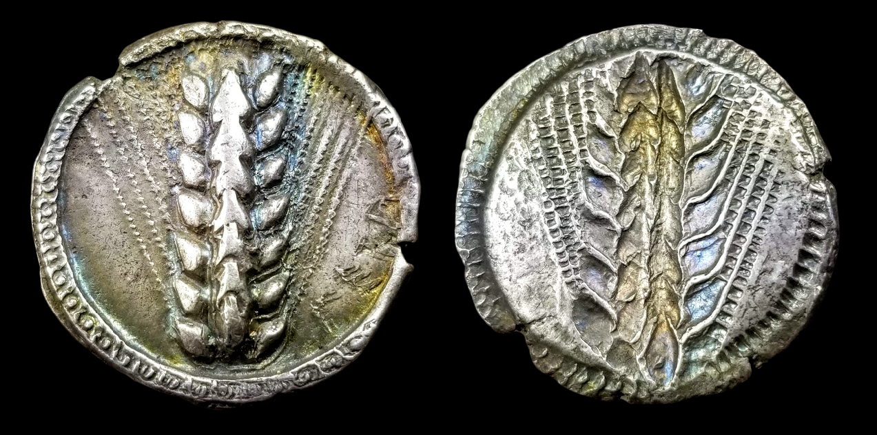 Lucania Metapontion Stater 2.png