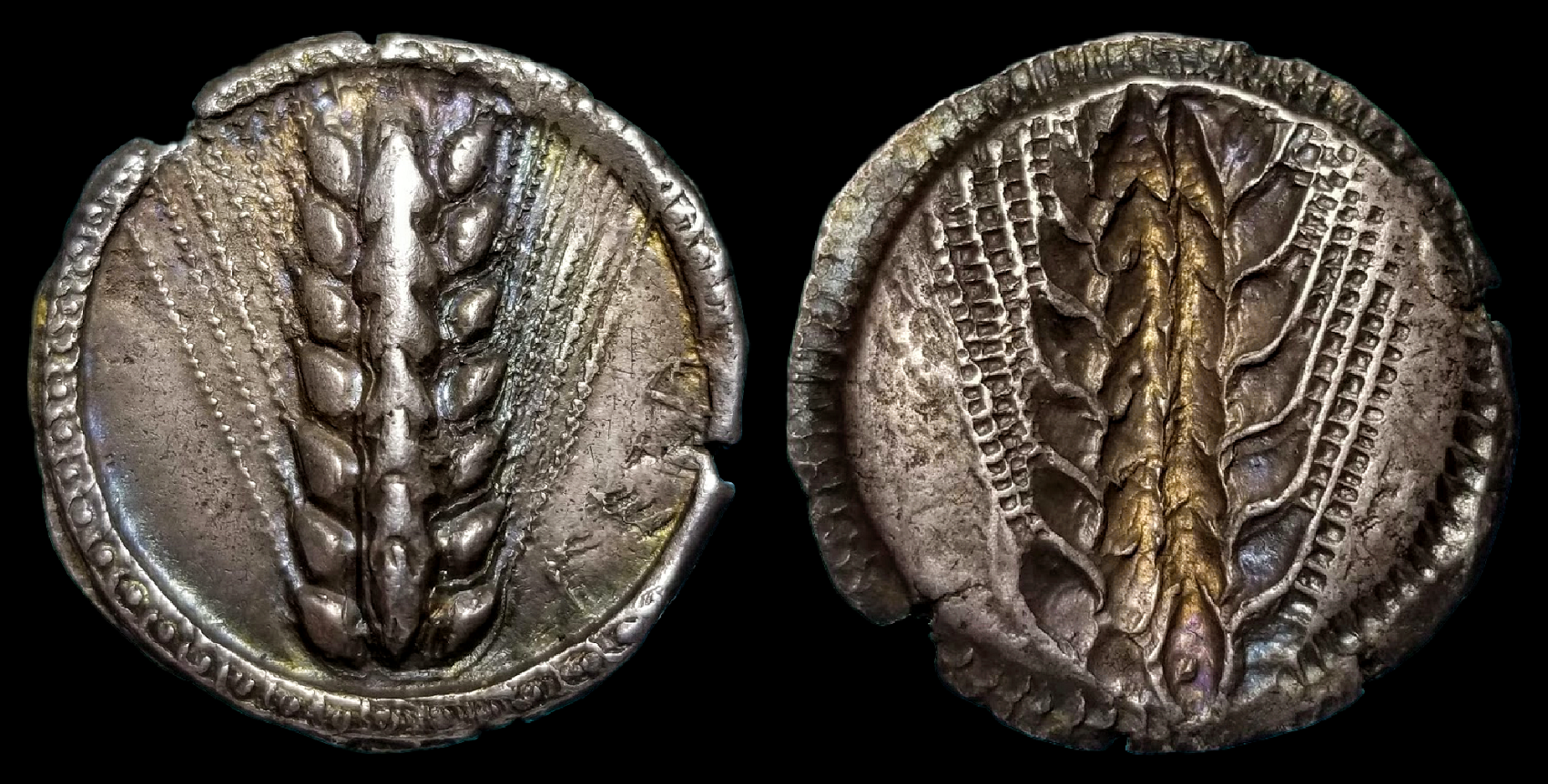Lucania Stater.png