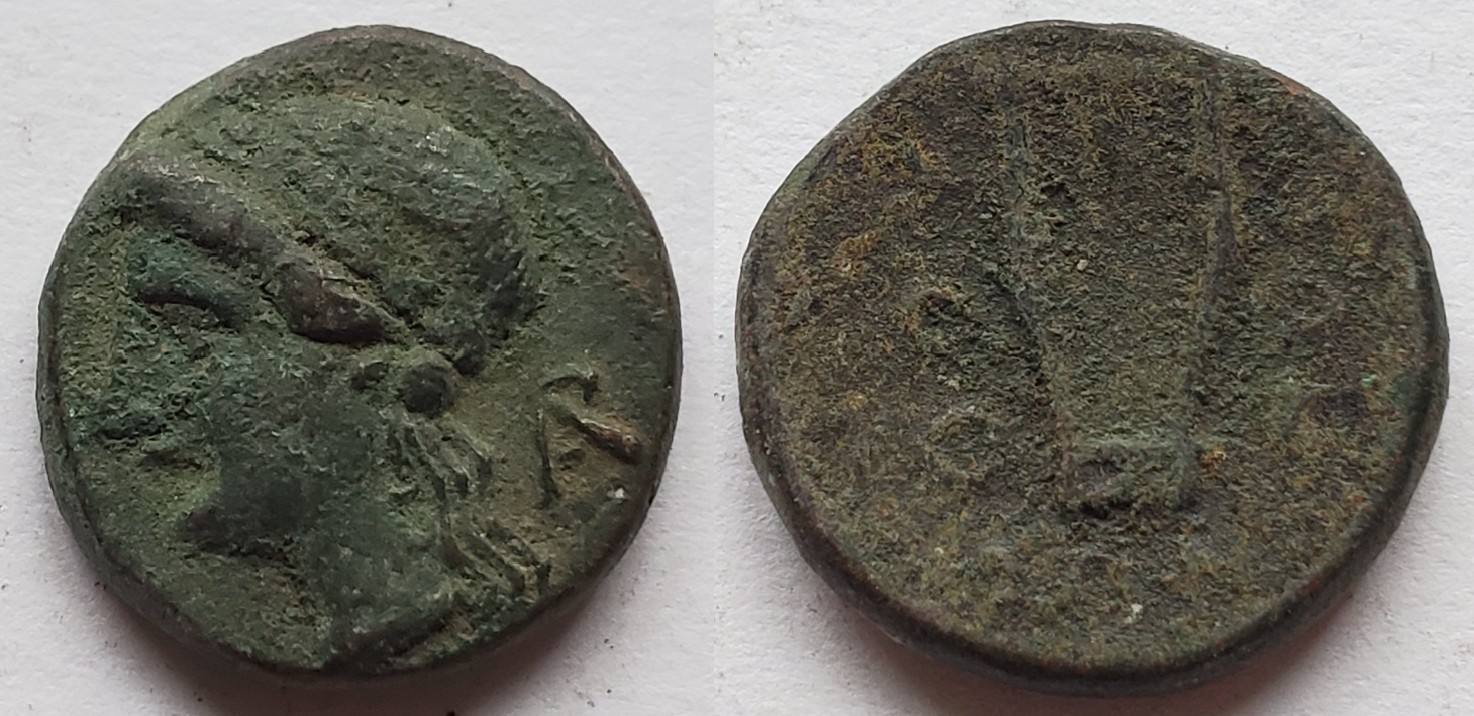 Lucania Thurium AE apollo cithara.jpg