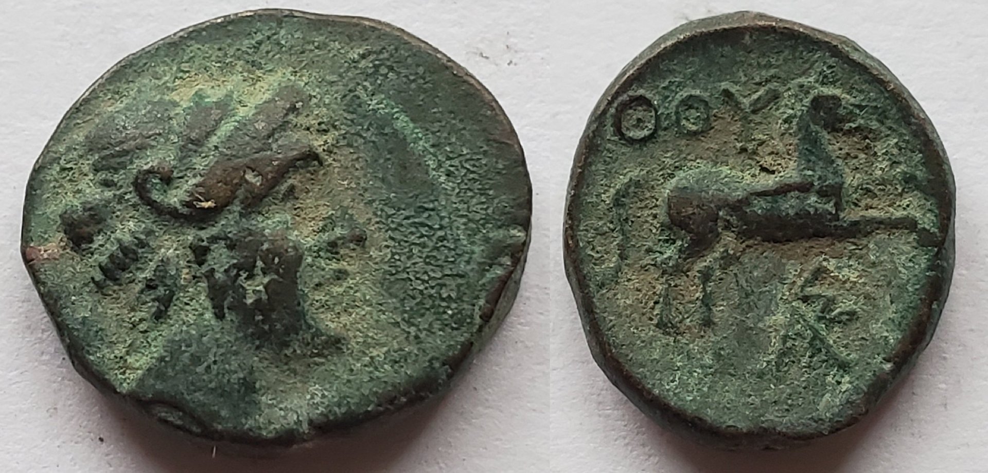 Lucania Thurium AE apollo horse.jpg