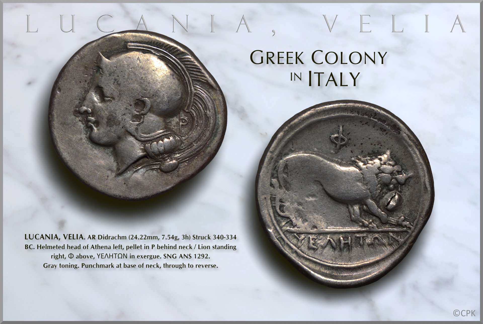 Lucania Velia didrachm.jpg