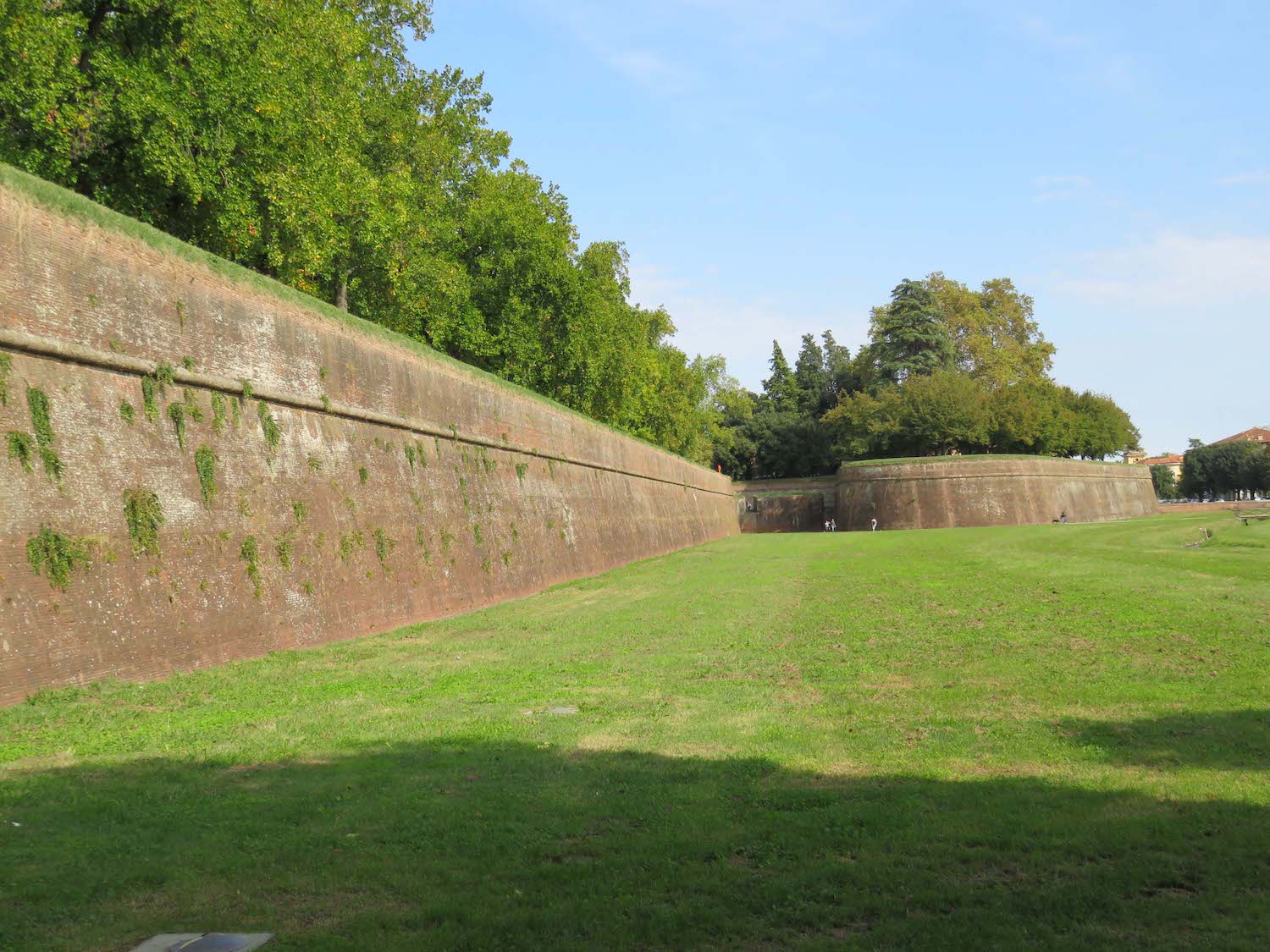 Lucca city wall.jpg