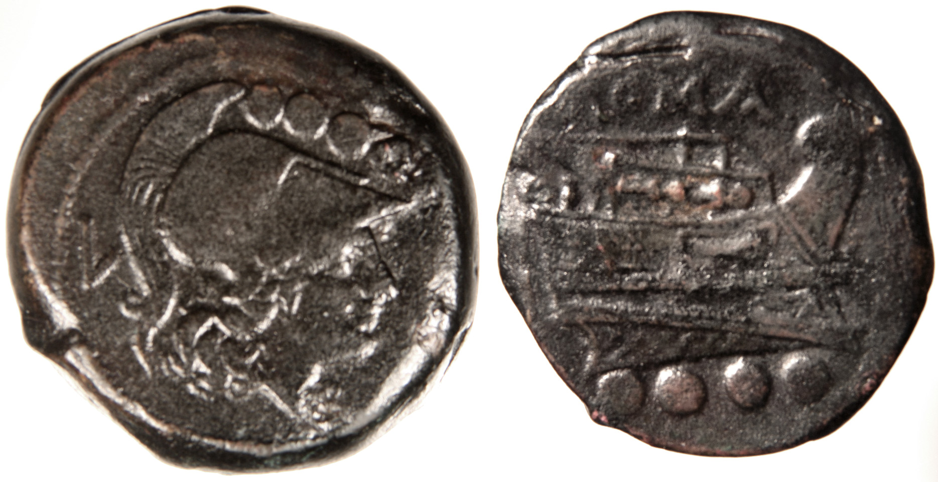 LuceriaTriensCr43.jpg