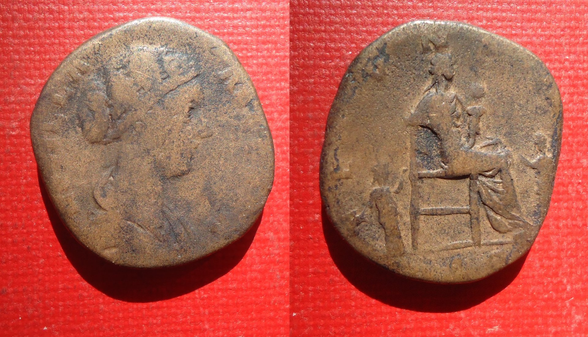 Lucilla - Sest Fecund. Oct 2019 (0).jpg