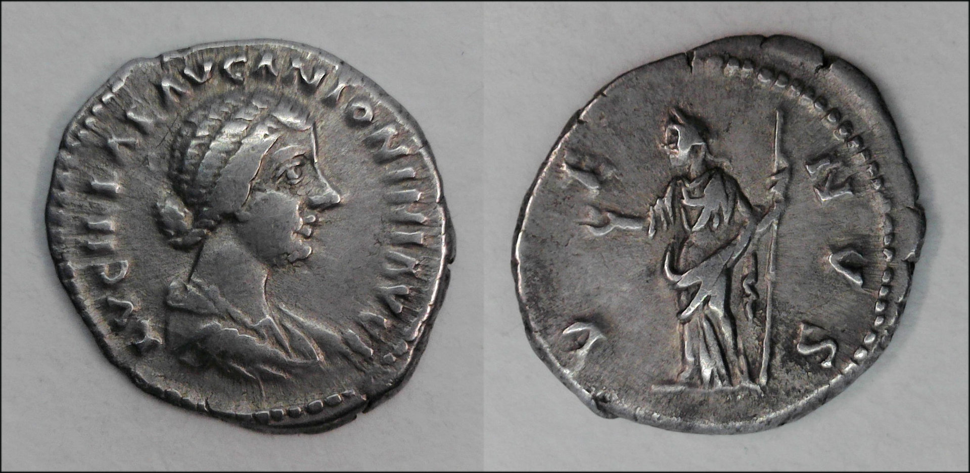 Lucilla Venus.jpg