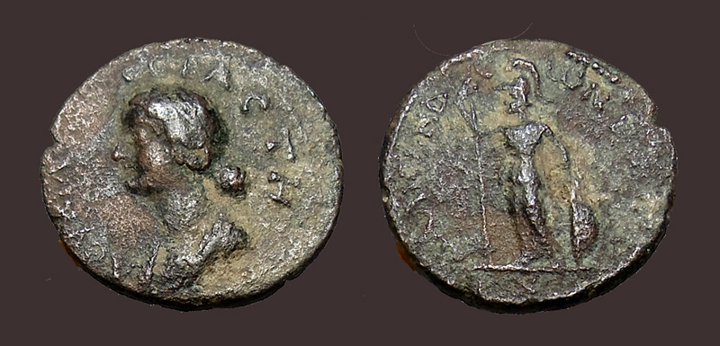 LucillaDalisandus.jpg