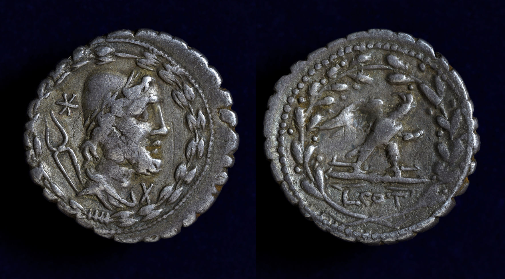 Lucius Aurelius Cotta.jpg