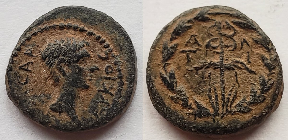 Lucius Caesar antioch ad meandrum.jpeg