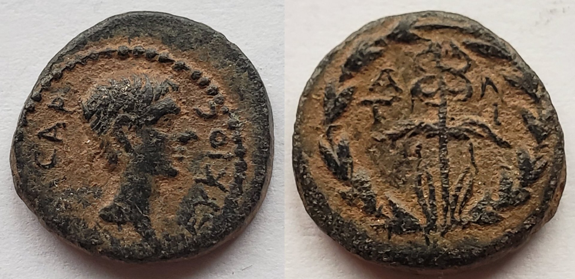 Lucius Caesar antioch ad meandrum.jpg