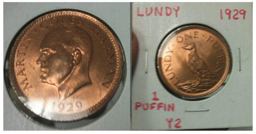 LundyPuffinPrelim.png
