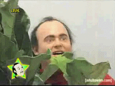 lurker too.gif