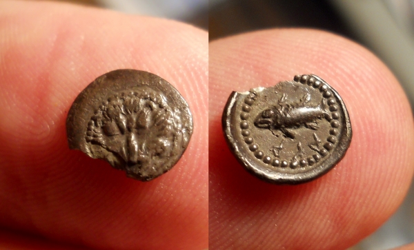 lycia 6.jpg