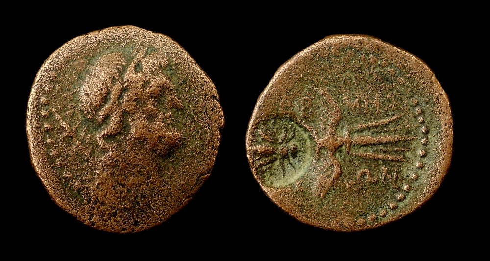 Lycia Termessor Bee Counterstamp.jpg