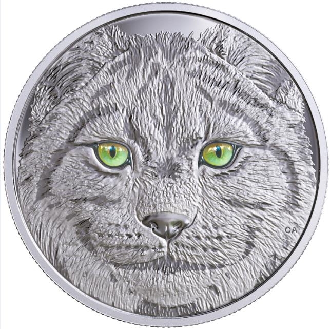 Lynx_glow_in_eyes__00585.1509384245.jpg