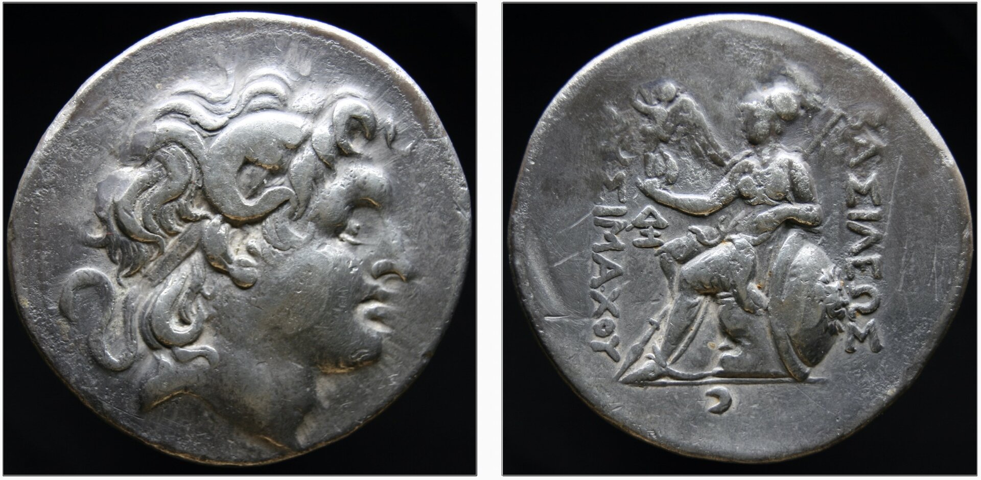 lysamachus.jpg