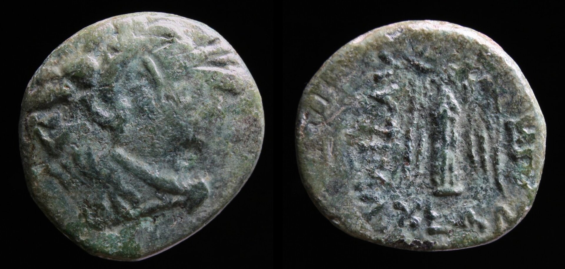 lysimacheia 2.jpg