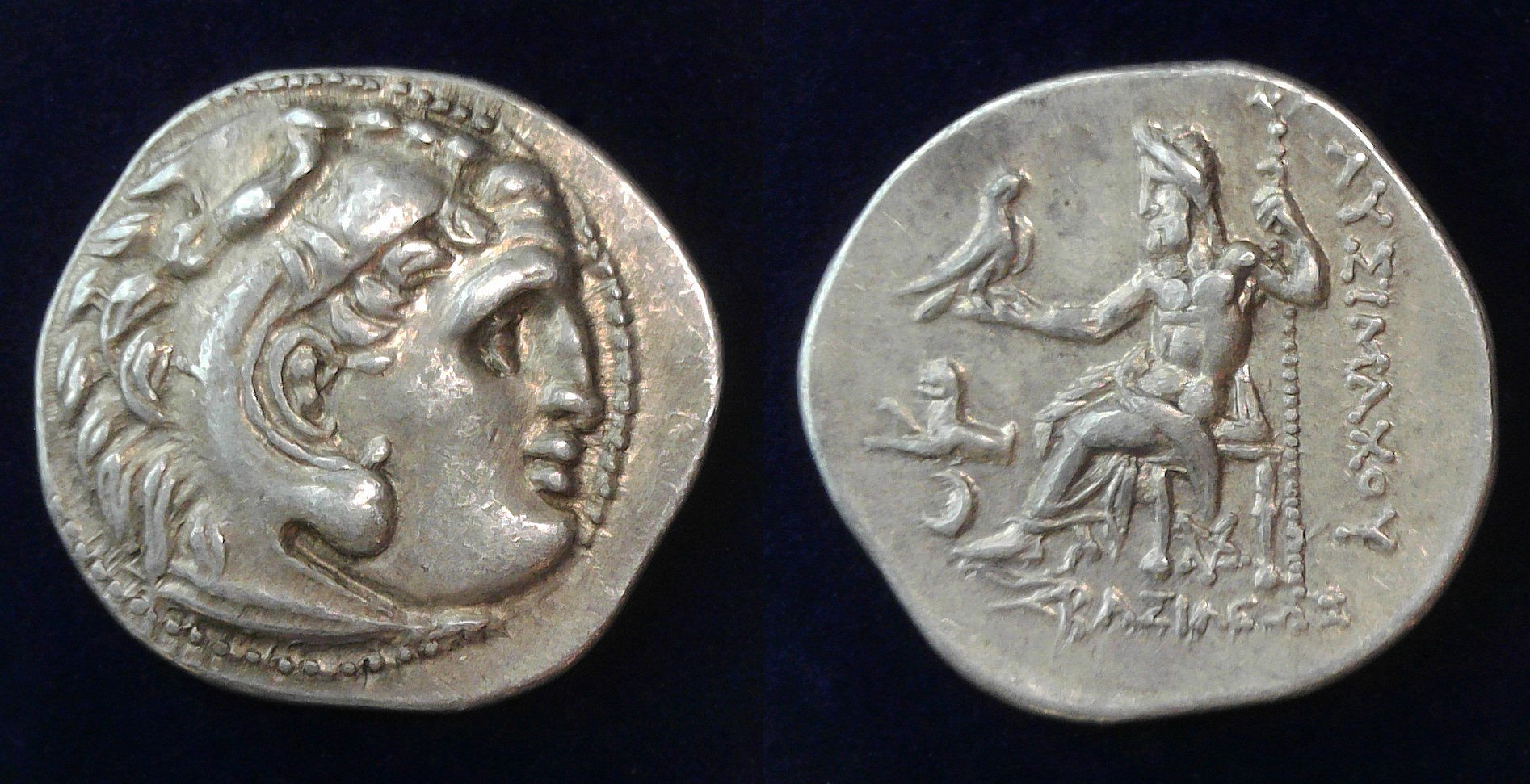 Lysimachos Colophon Drachm.jpg