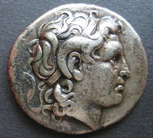 lysimachos tet, pella, 16.53g, 29mm.JPG