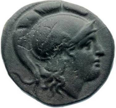 lysimachosx a.jpg