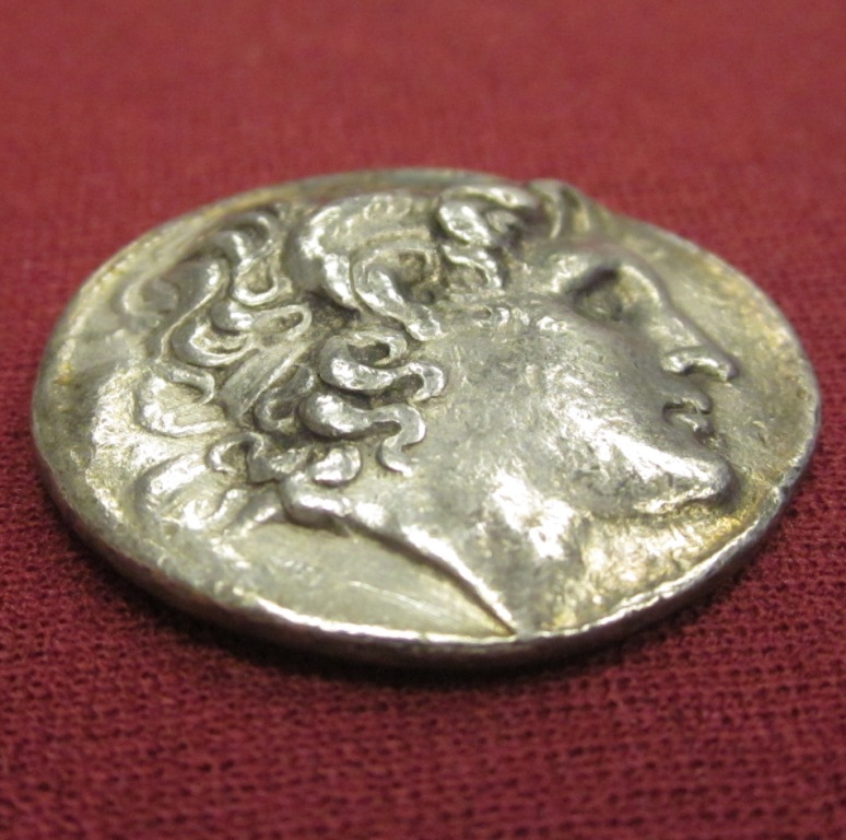 Lysimachus 3 Side.jpg