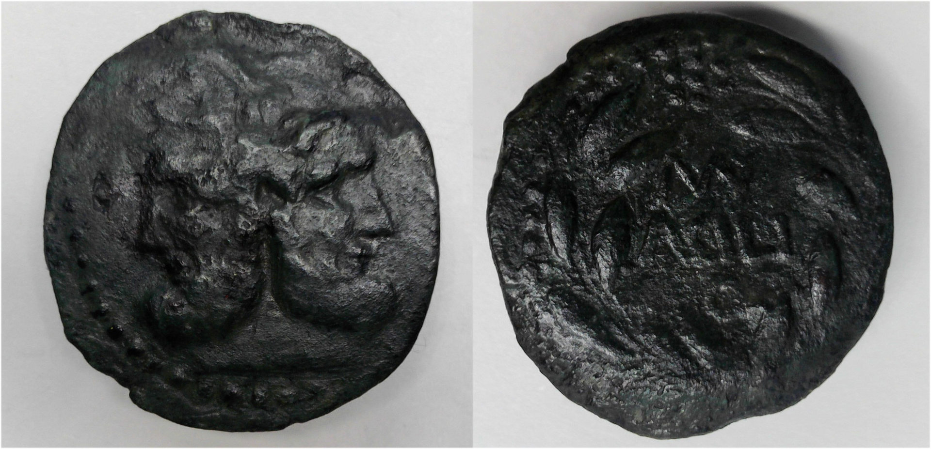 M Acilius.jpg