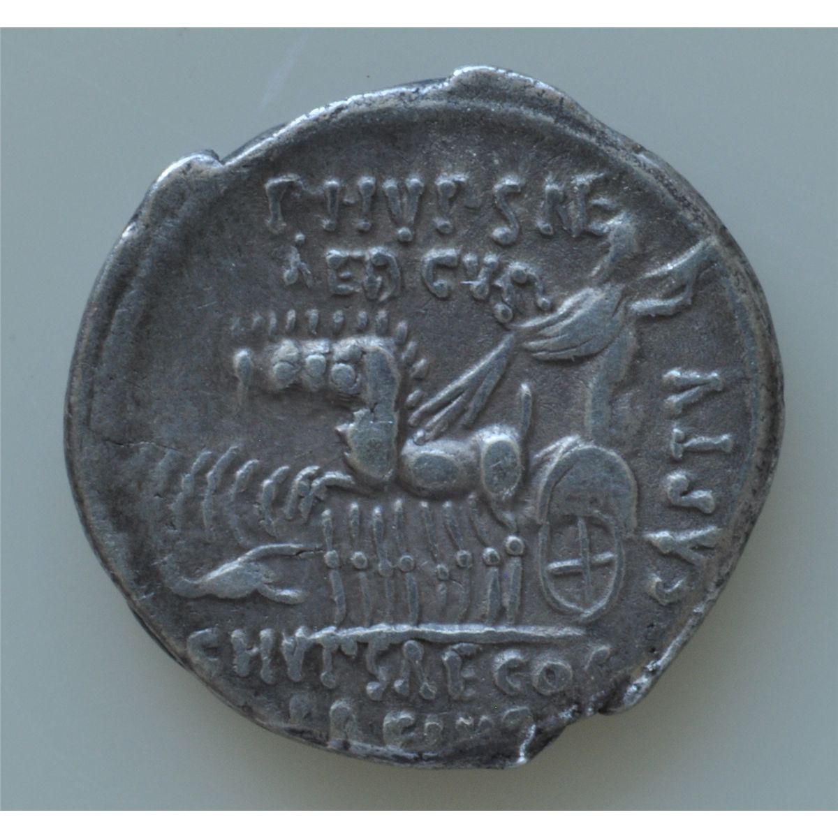 M Aemilius b.jpg