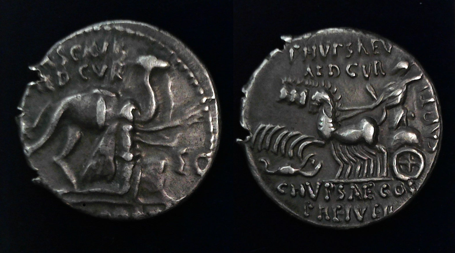M. Aemilius Scaurus denarius.jpg