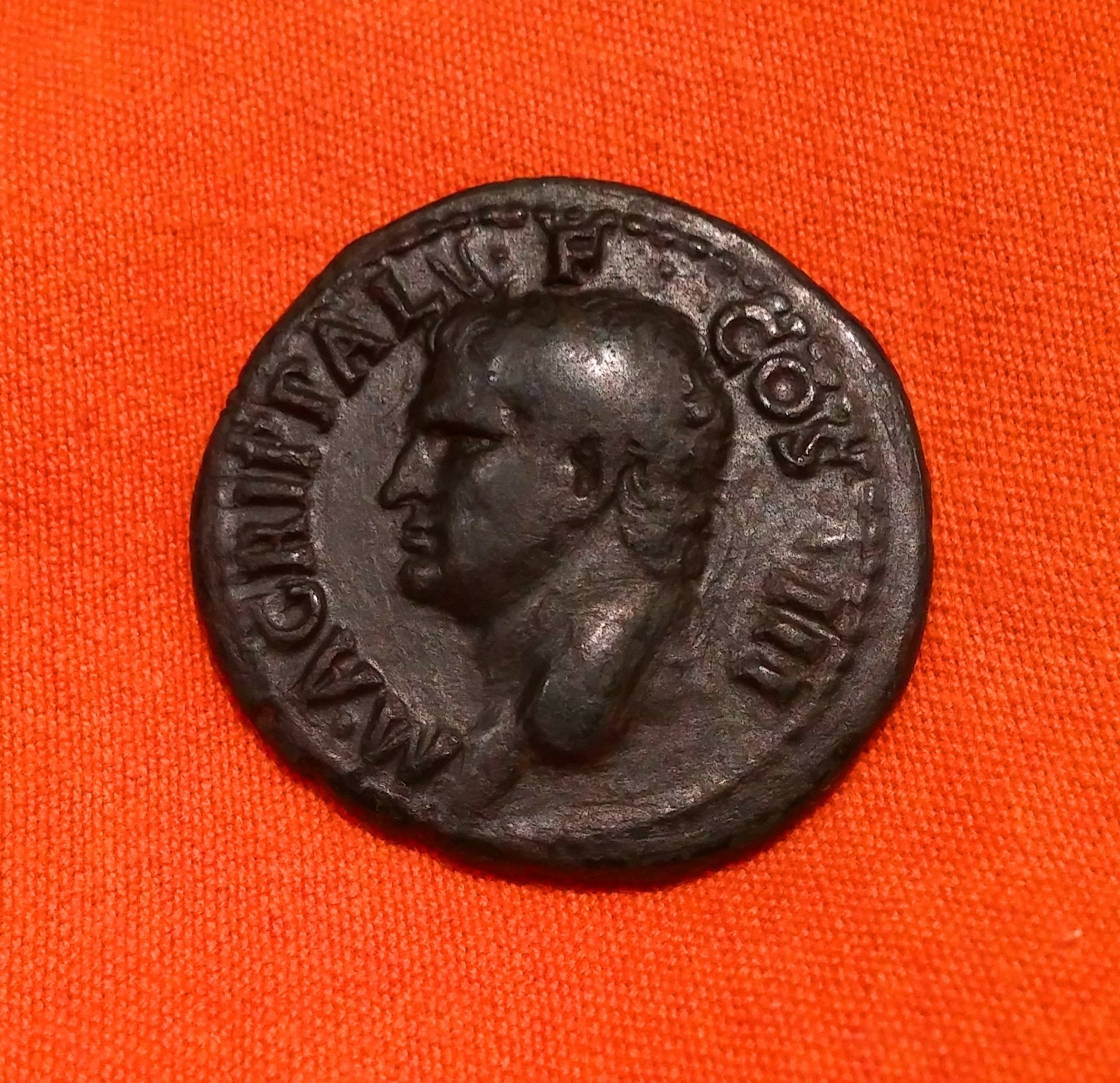 M Agrippa Obv.jpg