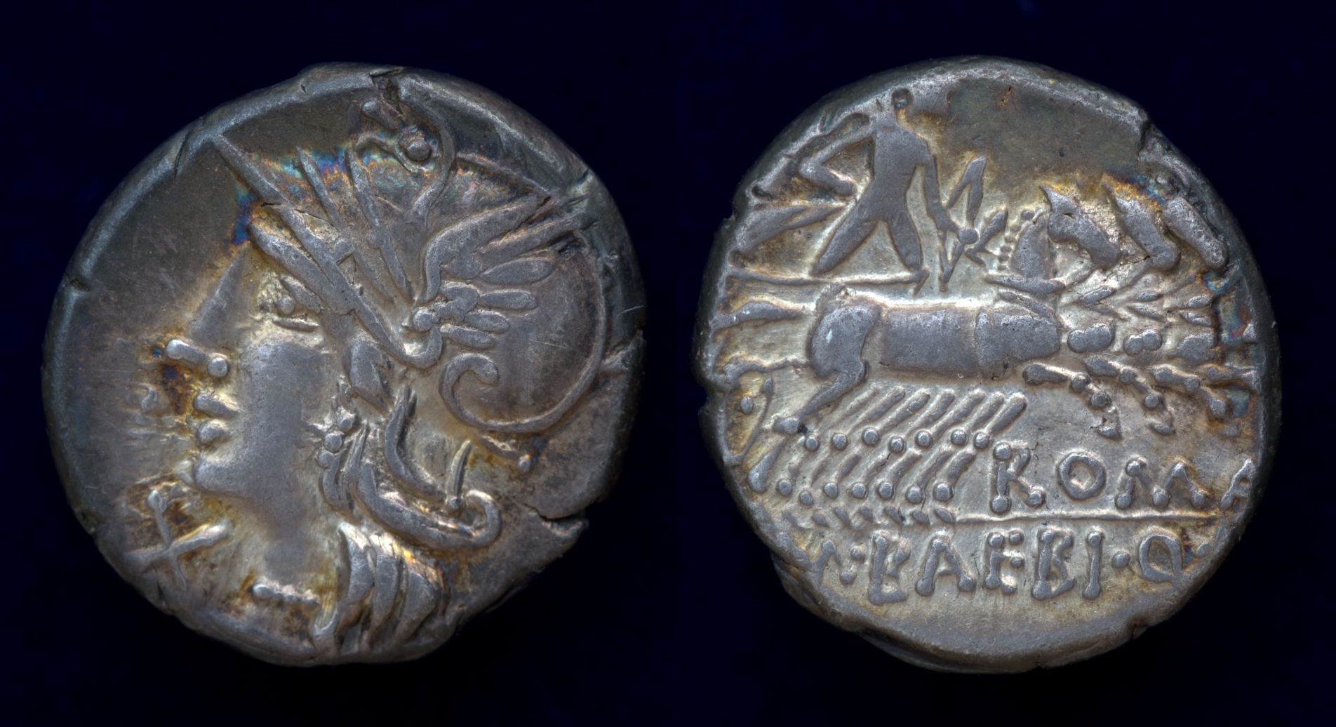 M Baebius Tampilus denarius.jpg