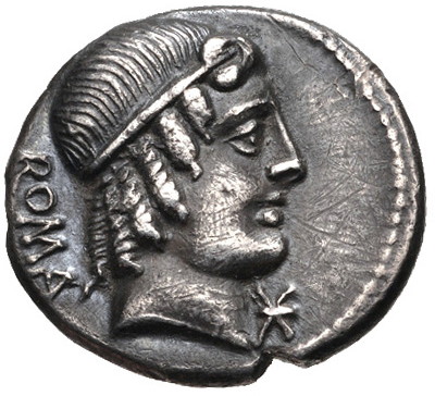 M caecilius a.jpg