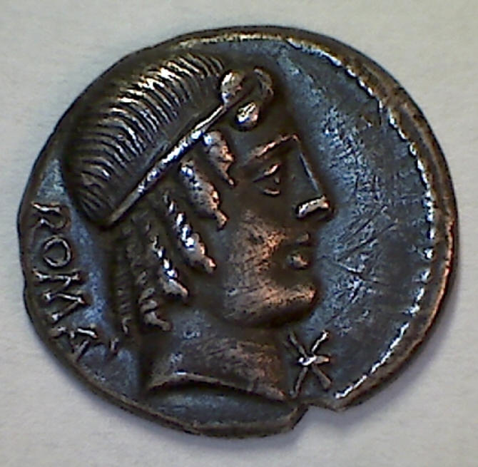 M caecilius a side aa.jpg