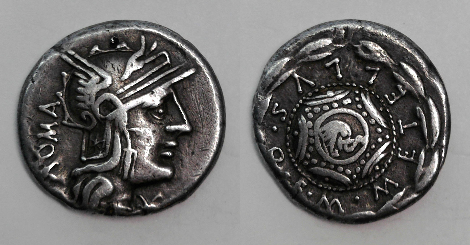 M Caecilius Metellus.jpg