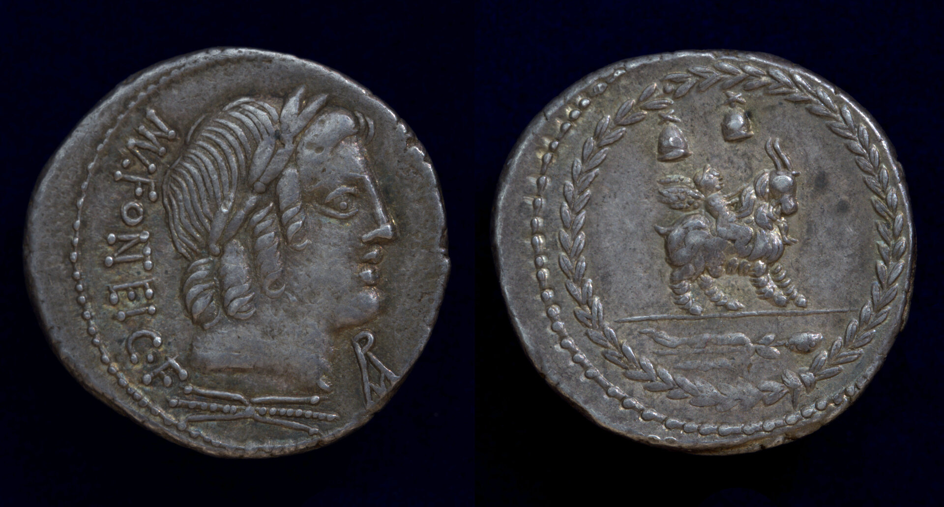 M Fonteius goat rider.jpg