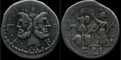 M FURIUS Lf PHILUS.jpg