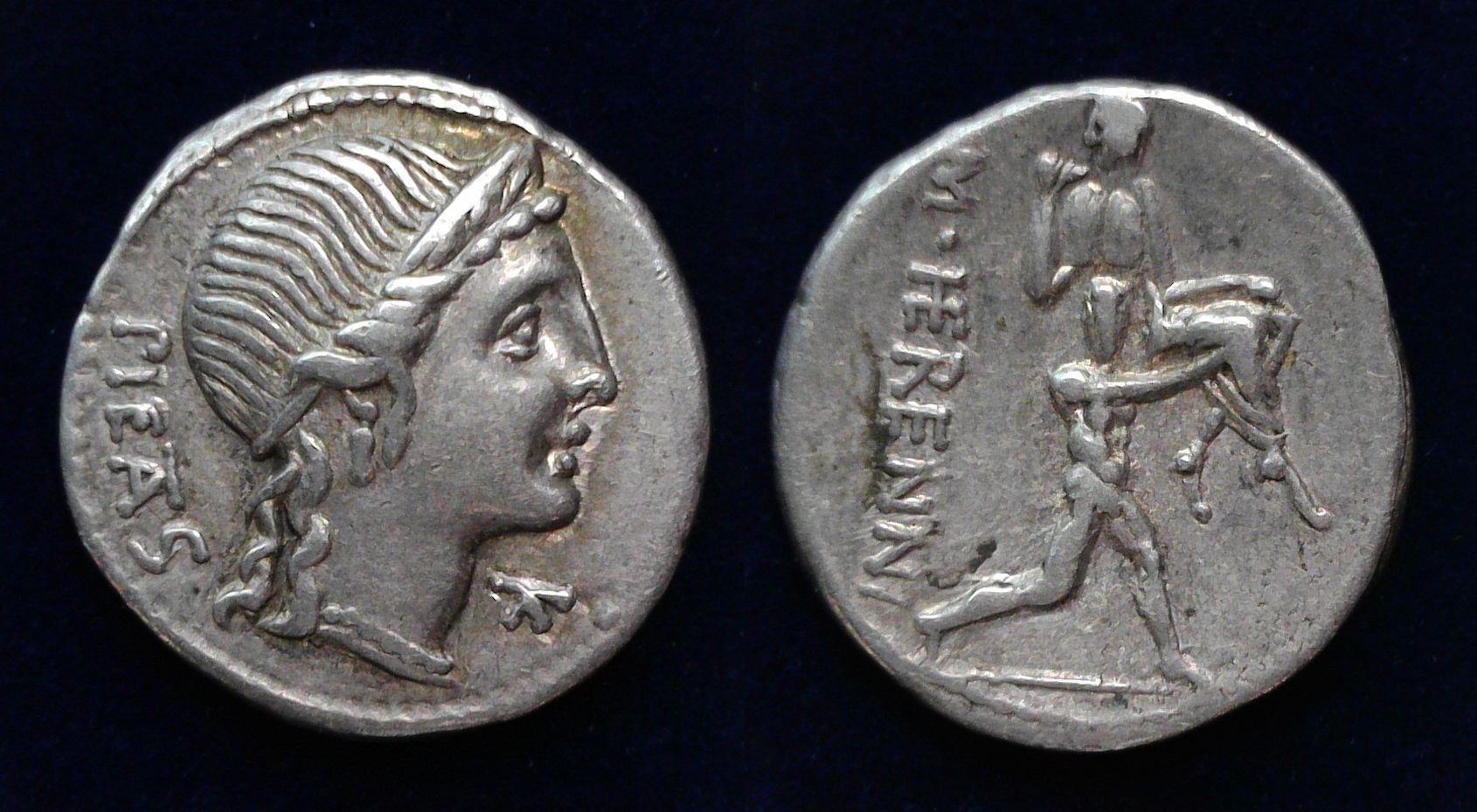 M Herenni 308-1b Blu.jpg