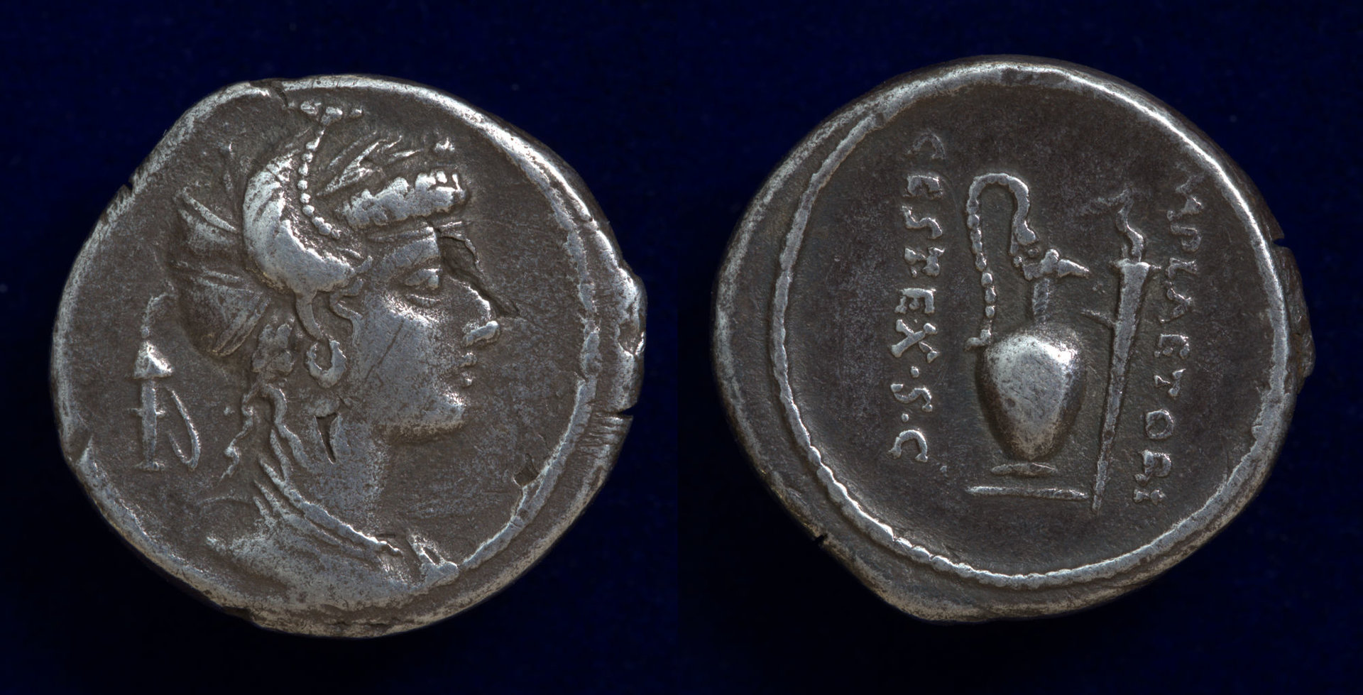 M Plaetorius Cestianus 1.jpg